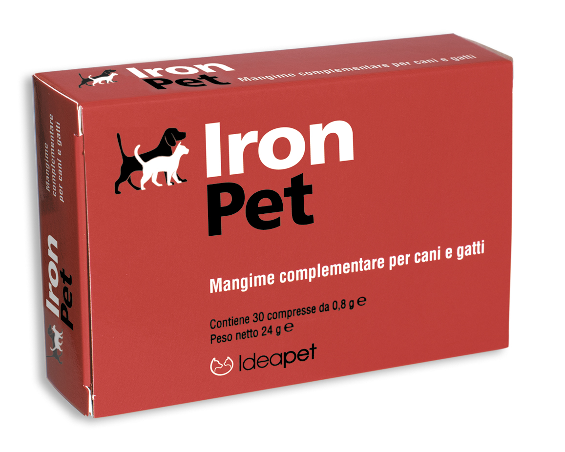 Iron_Pet_box