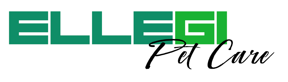 logo_main-removebg-preview